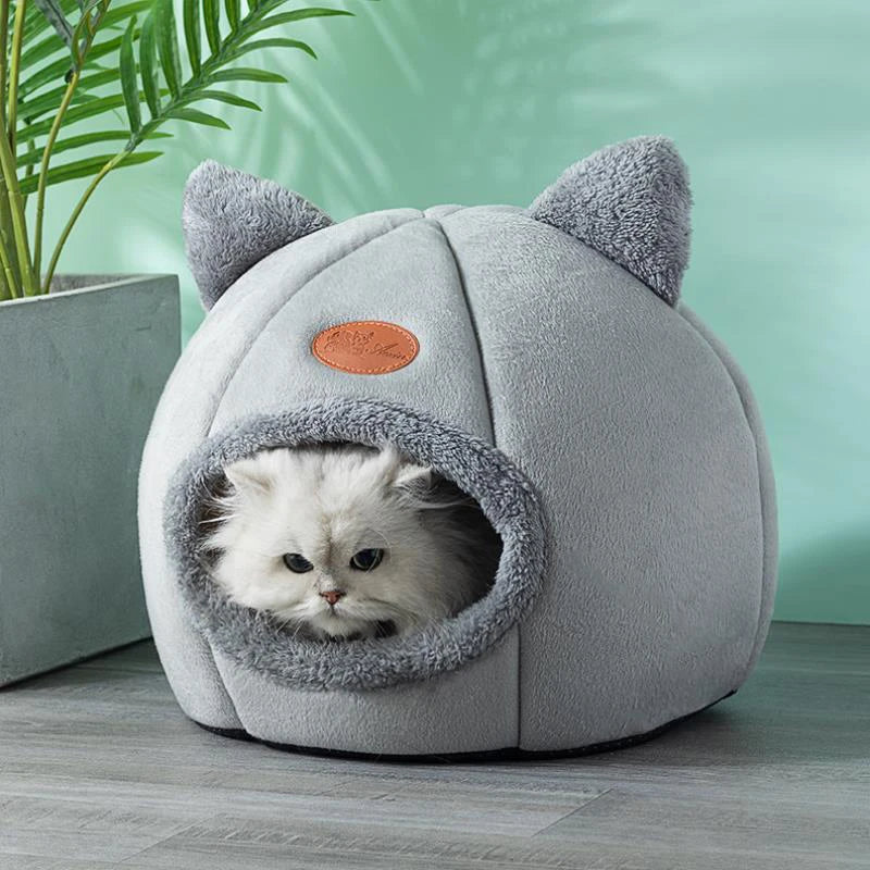 Pet